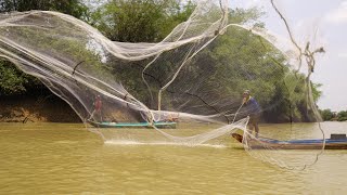 Best Cast Net Fishing Catching Best Fishing Videos Amazing Fishing