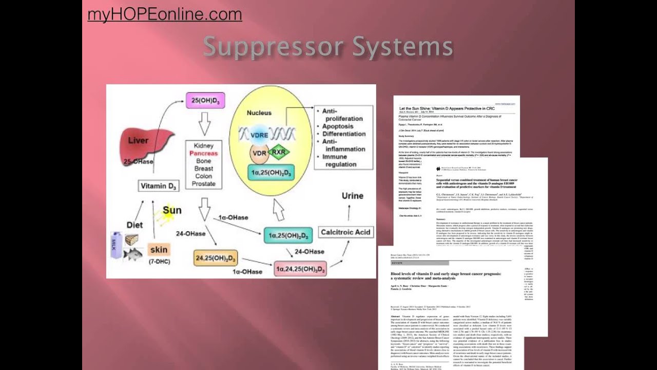 Cancer Class 8 Vitamin D Dr. Kevin Conners YouTube