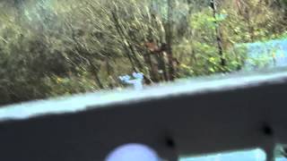Mobius camera test-scope camera