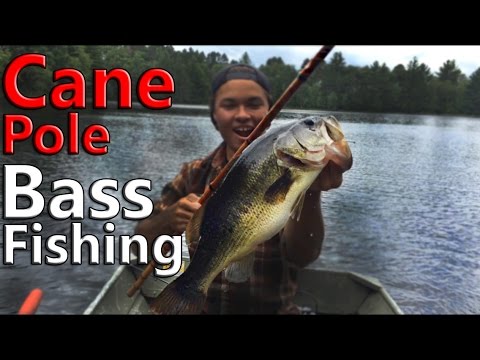 cane pole fishing for bass Cane Pole Bass Fishing Challenge! (PB Bass Caught)