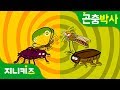 착한 친구 나쁜 친구 | 사람에게 이로운 곤충과 해로운 곤충 알아보기 | 곤충박사★지니키즈