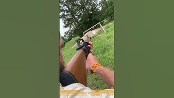 New Vegas Service Rifle