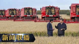 《新闻联播》 【在习近平新时代中国特色社会主义思想指引下——新时代 新作为 新篇章】夯实农业生产基础 端稳自己的饭碗 20190811 | CCTV
