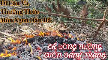 Đi câu cá mùa nước lên ở biển hồ dầu tiếng . và thưởng thức món cá đồng nướng