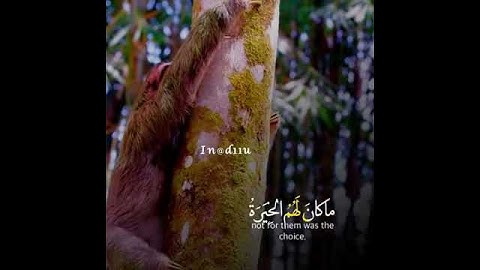 قرآن كريم بصوت ياسر الدوسري 🎧🌼 أجمل حالات واتس اب دينية مقاطع دينية قصيرة مقاطع انستقرام دينية