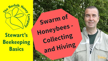 How to Collect a Swarm of Honeybees