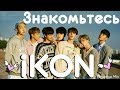 KPOP| ЗНАКОМЬТЕСЬ iKON | ПОКОРИЛИ КОРЕЮ 2018 ГОДУ