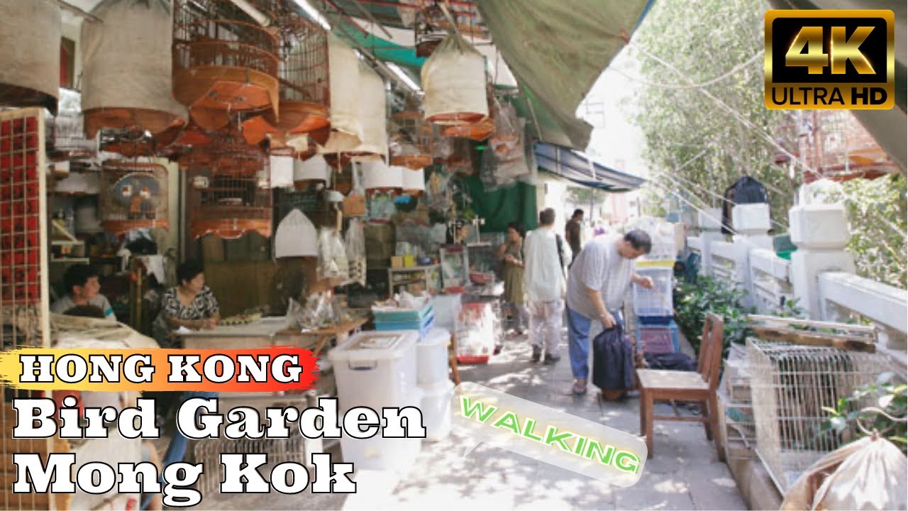 Bird Garden, Yuen Po Street, Mong Kok, Hong Kong (雀鳥公園, 園圃街, 旺角, 太子, 香港) [4K 60fps]