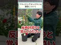 サンパラソルの誘引について教えます!#shorts #サントリーフラワーズ#ガーデニング#サンパラソル