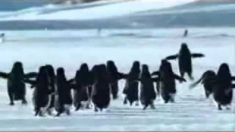 Linux everything is possible