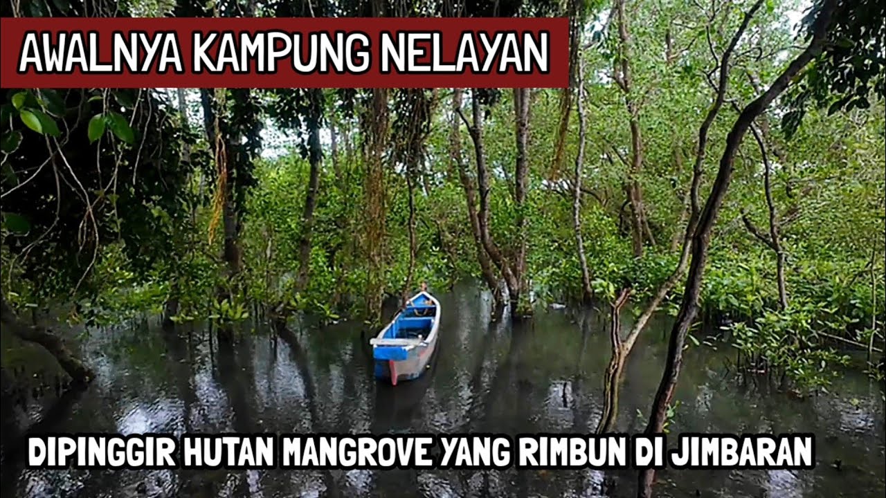 DULU ADA KAMPUNG NELAYAN DI DAERAH HUTAN MANGROVE JIMBARAN BALI(25/2/2026)