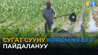 Ысык-Атада сугат сууну үнөмдөөнүн жаңы ыкмалары колдонулууда