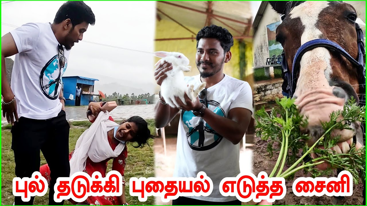 கலக்கலான Kookal Lake ஐ Movie Shooting Spot 😍 Sheep and Rabbit Farm