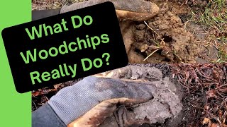What Do Woodchips Do? A Soil Comparison of Sandy Clay