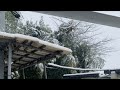 Japan Quiet Vibes 東京に雪が降っている❄️