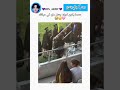عندما يكون لديك جنتل مان في حياتك   