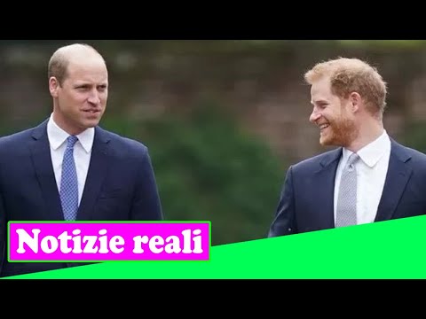 Video: La Profonda Tristezza Del Principe William Per Harry