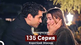 Зимородок 135 Cерия (Короткий Эпизод) (Русский Дубляж)