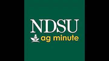 NDSU Ag Minute Research Happening At The NDSU Dickinson Research Extension Center 