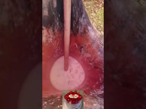 اكسبلور صارت  كاترين حلويات الرمال اعتني  اهميه