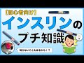 【初心者向け】インスリンのプチ知識【知らないこともあるかも?】