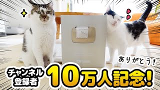 [Commemorating 100,000 channel subscribers] A masterpiece collection of interesting scenes.