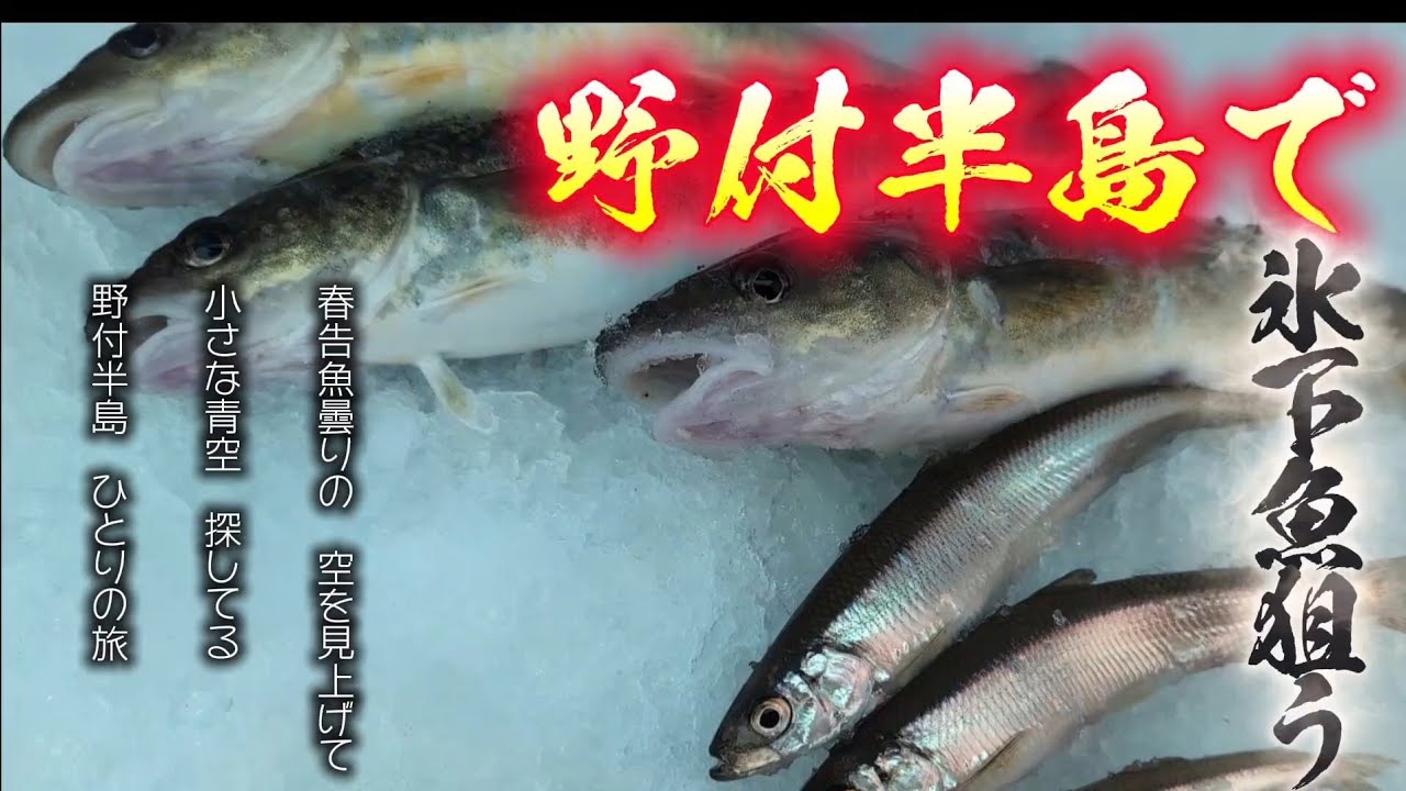 おっさん、久々の野付半島で初の氷下魚を狙う‼️