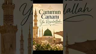 Canımın Cananı Ya Resulallah