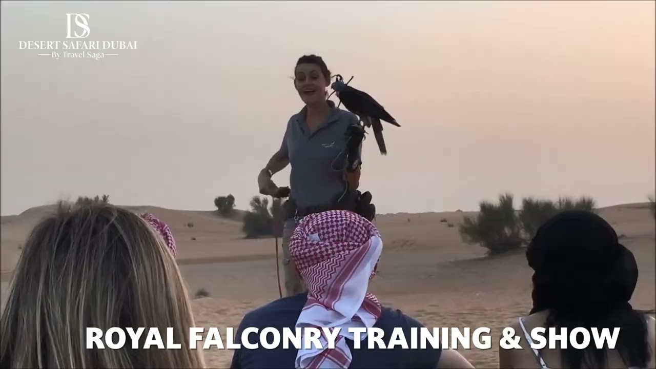 Royal Falconry Training & Nature Safari | Land Rover Experience, Falcon Show & Emirati Breakfast