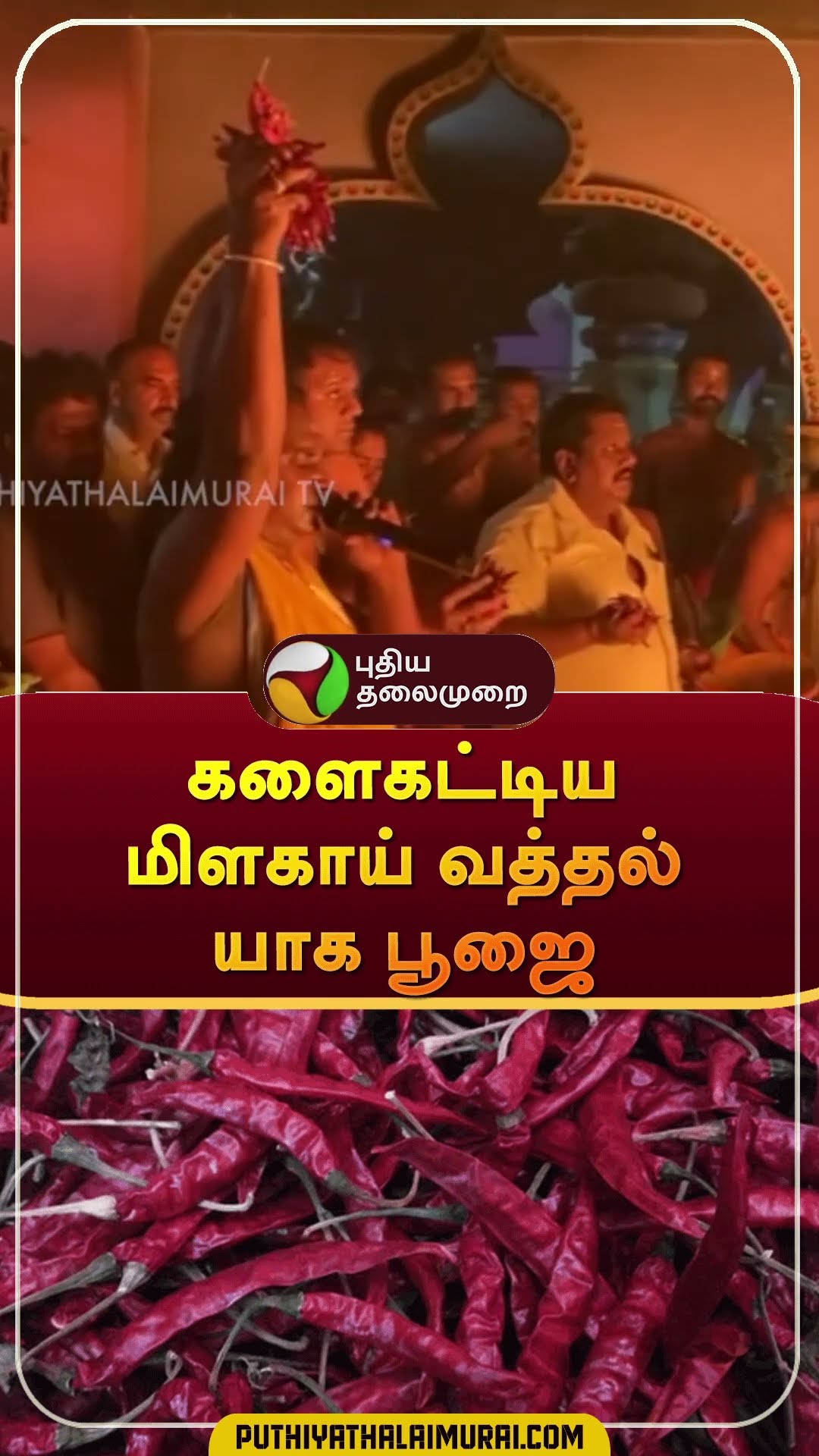 களைகட்டிய மிளகாய் வத்தல் யாக பூஜை | #shorts | #krishnagiri