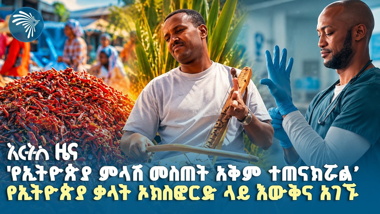 ከ4 ሺ ሰዎች በአንዱ ላይ የሚያጋጥመው የጤና ችግር  |የሐሙስ፣ መስከረም 14, 2019ዜናዎቻችን| #ethiopianews #ethiopia