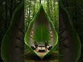 GIANT Leaf Transforms Into Luxury Futuristic Home 🍃🏡 | Satisfying Timelapse (8K Cinematic)