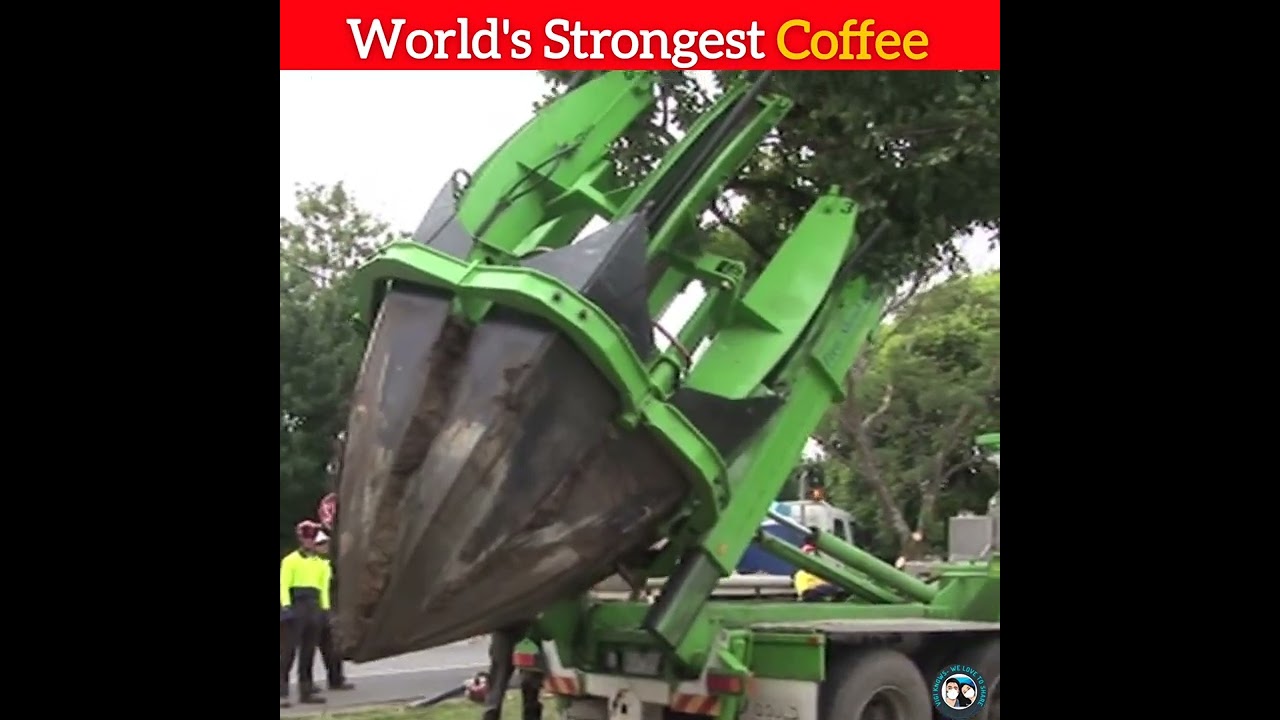 World's Strongest Coffee || Vigi Knows 