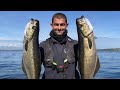 INCREDIBLE Pollack Fishing - Small Boat fishing in Cornwall