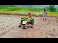 Yanmar Rice planter 🌾🌾all details Video 📸 @CrazySuresh96 #riceplanting 