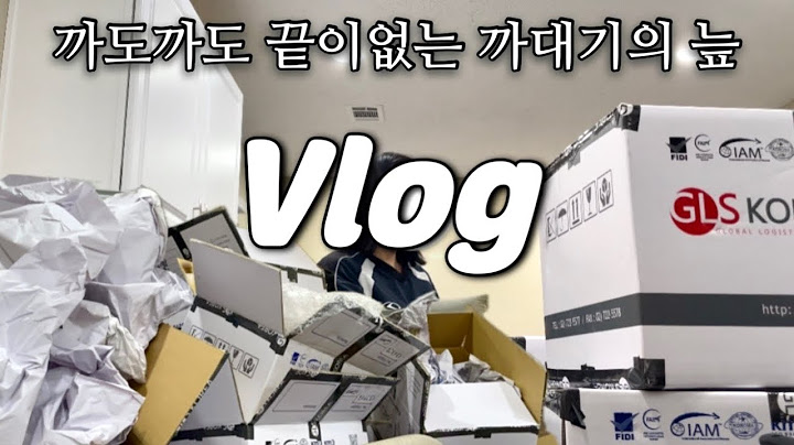 [미국 일상 Vlog] 미국집 이사하는 날🏡, 한국에서 미국으로 해외이사, LG 티비 사고 월마트에서 장보기, 홈굿 쇼핑