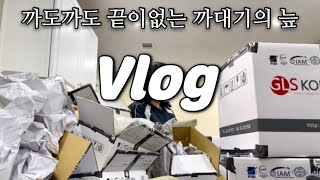 [미국 일상 Vlog] 미국집 이사하는 날🏡, 한국에서 미국으로 해외이사, LG 티비 사고 월마트에서 장보기, 홈굿 쇼핑 | 테네시 | 멤피스