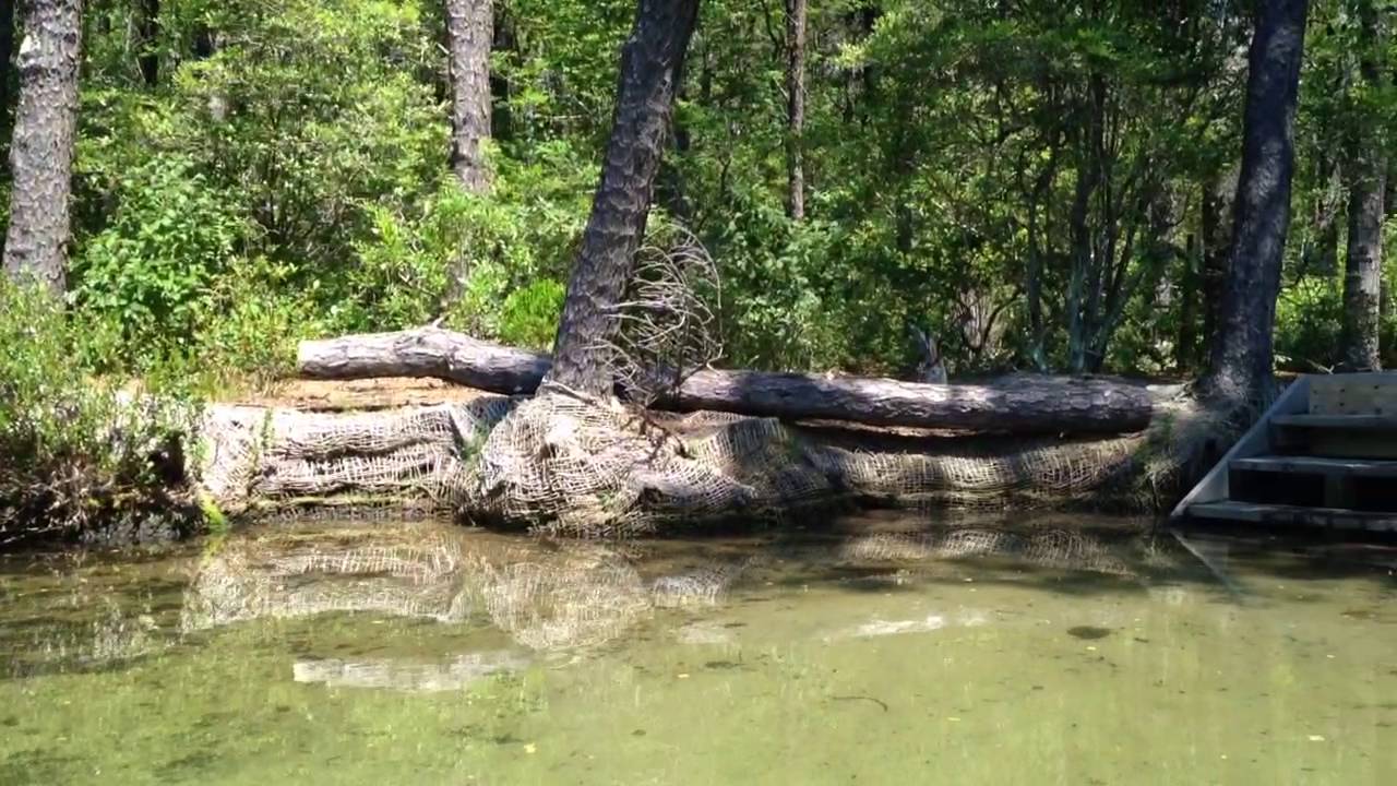 Kettle Pond, Wellfleet MA YouTube