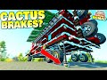 The Cactus Braking System, Good or Bad Idea? - Survival Nomad 17