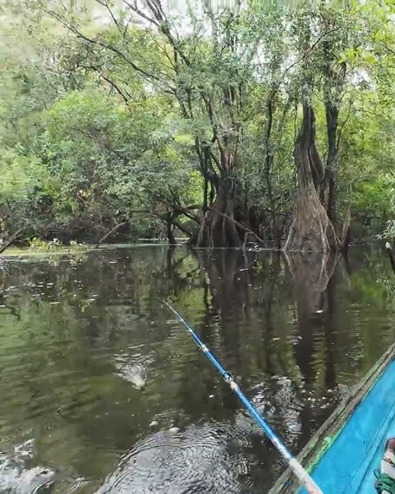 bikin jantungan saja #fishing #fayzfishingadventure #fishingequipment