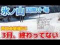【兵庫の3月は雪がない?】氷ノ山、終盤どころか“西日本最強クラス”だった|氷ノ山国際スキー場ゲレンデレポート