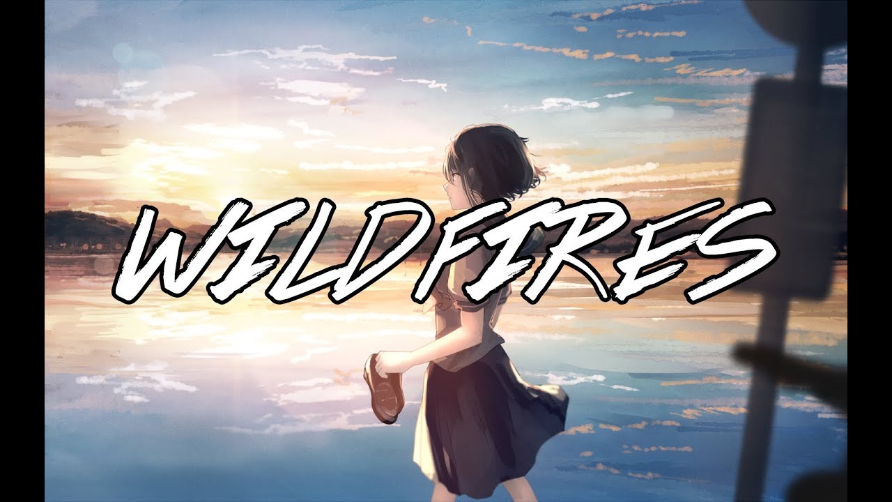 【Indie Electronic】DAVVN - Wildfires