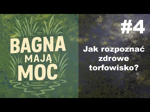 Marshes Have Power #4 How to Recognize a Healthy Peat Bog - Prof. Mariusz Lamentowicz