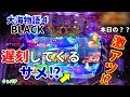 ぐぅパチ#116「クリスタルステージが打ちたくなる⁉キュインといきましょう♪」【大海物語4 BLACK】