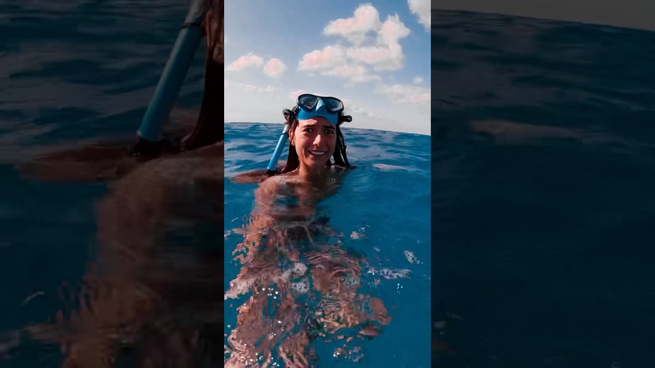 Freak accident while snorkeling 