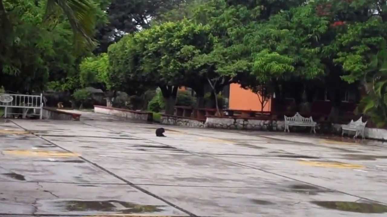 la secundaria 2 de abril de acatlipa