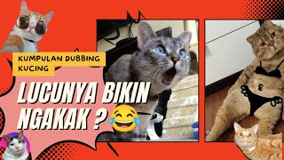 Kucing Ngomong?! Dubbing Kucing Lucu yang Bikin Ngakak!