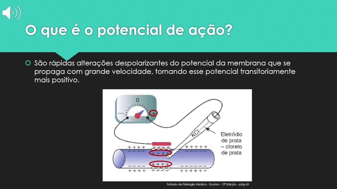 Videoaula sobre Bioeletrogênese Monteiro & Marques