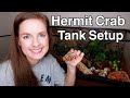 New Hermit Crab Tank Setup & Sad News