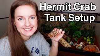 New Hermit Crab Tank Setup & Sad News
